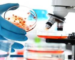 Ciências Biológicas